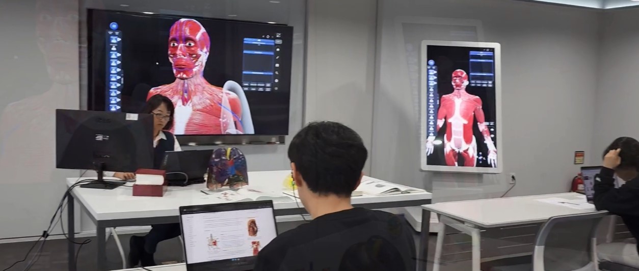 Bàn giải phẫu Medipbox 3D